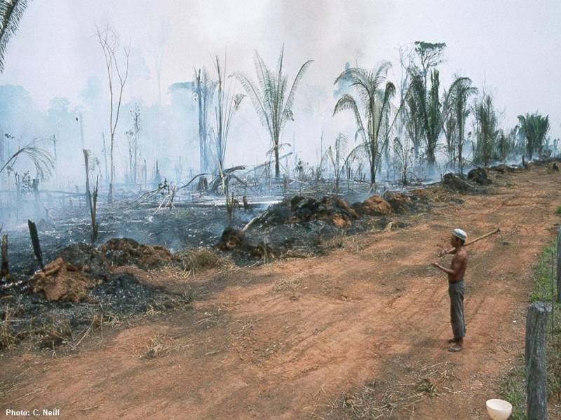 Advierten de los problemas que presentan los biocombustibles 