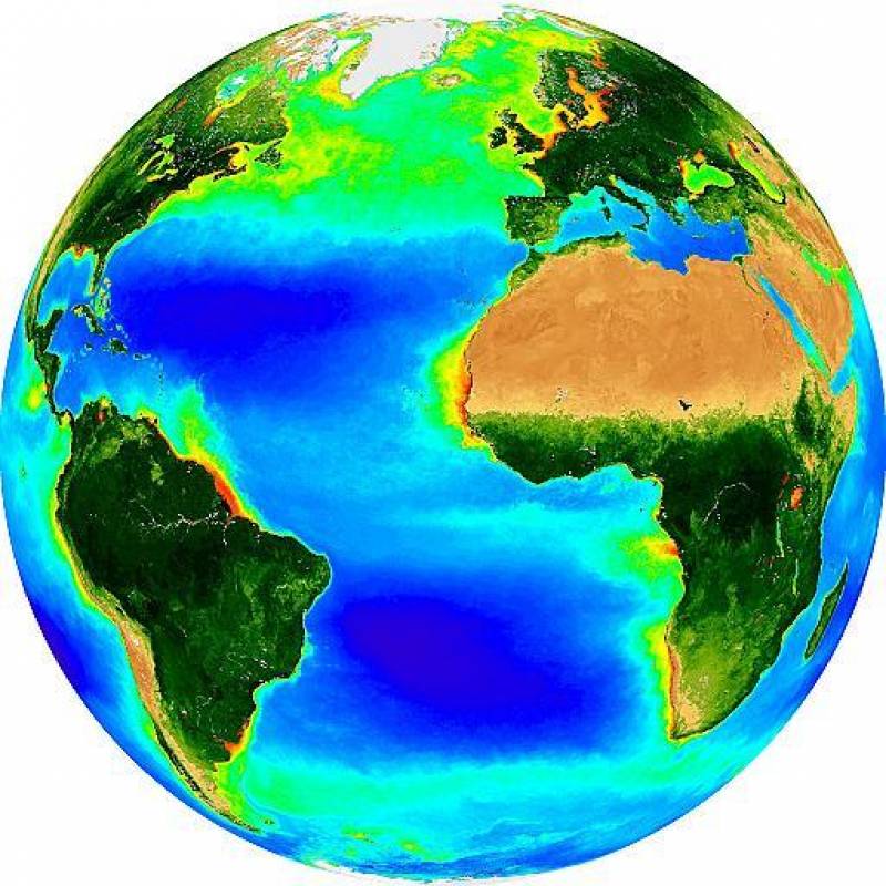 Algas fosilizadas ofrecen una nueva visión de la respuesta de la Tierra al calentamiento global