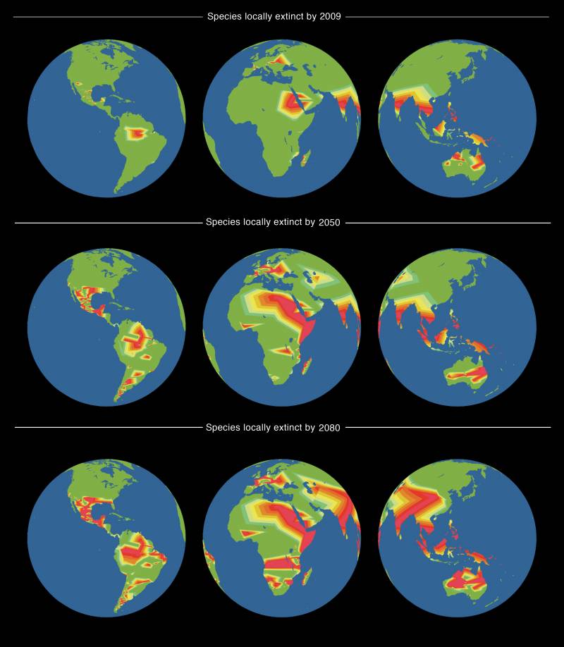 Mapas mundiales de las extinciones detectadas en 2009, junto con proyecciones para 2050 y 2080 basadas en la distribución geográfica de las familias de lagartos en del mundo.