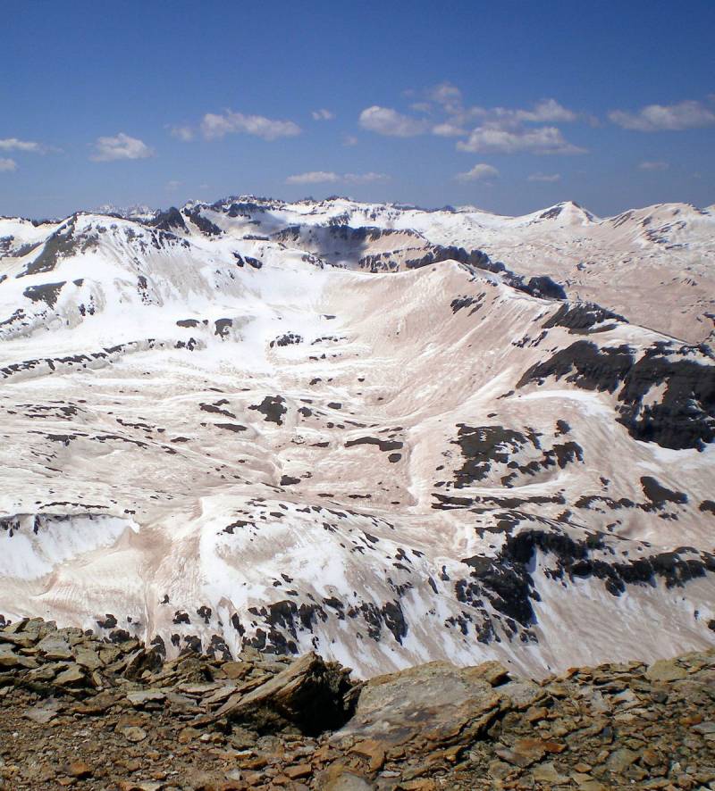 El polvo del desierto cambia los indicadores climáticos de las plantas de montaña