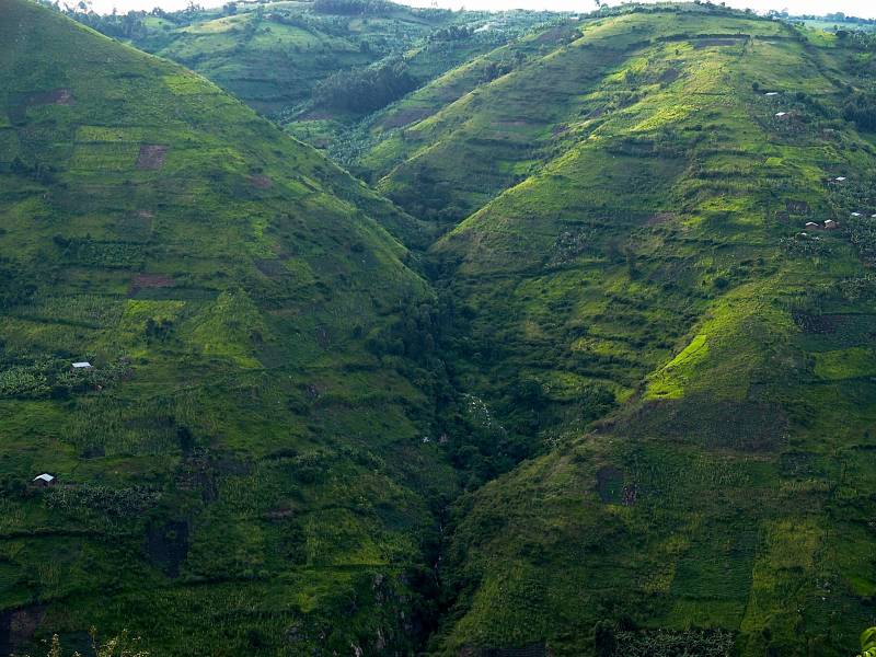 Estudian los efectos que tendrá el cambio climático sobre la agricultura del este de África