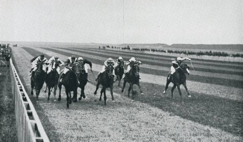 Los caballos ganan gracias al esfuerzo de los jockeys