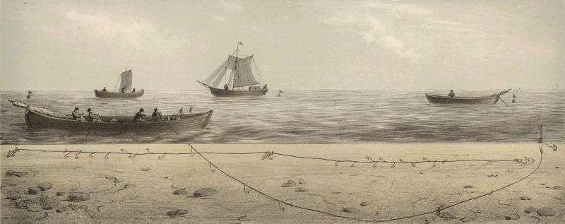 Reconstruyen la historia de la vida de los océanos