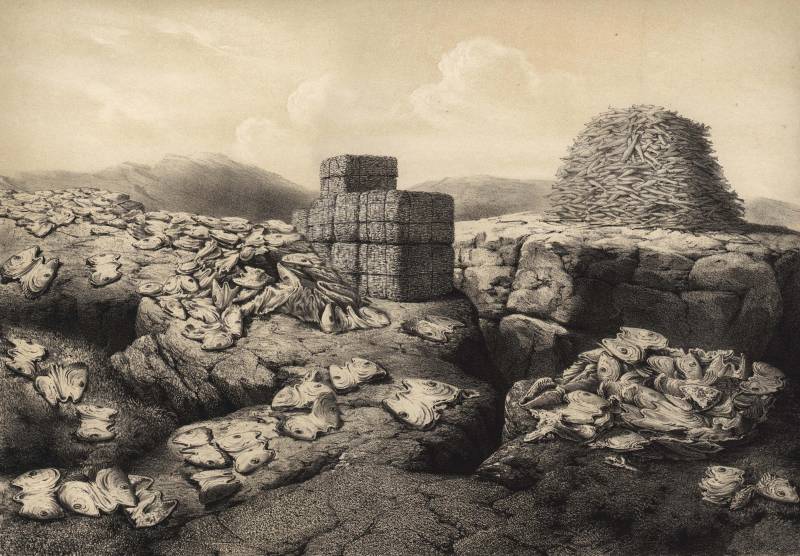 Reconstruyen la historia de la vida de los océanos