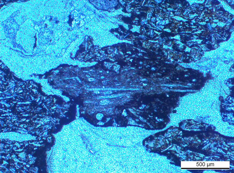 Vinculan una extinción masiva del periodo Pérmico con erupciones volcánicas 