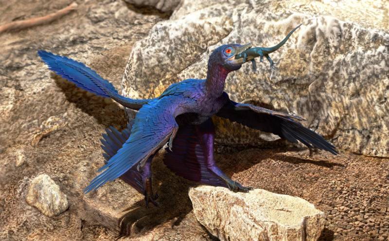 Ilustración del Microraptor que se traga lagarto