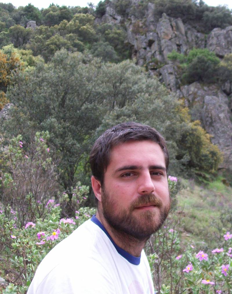 Lagartija de turbera