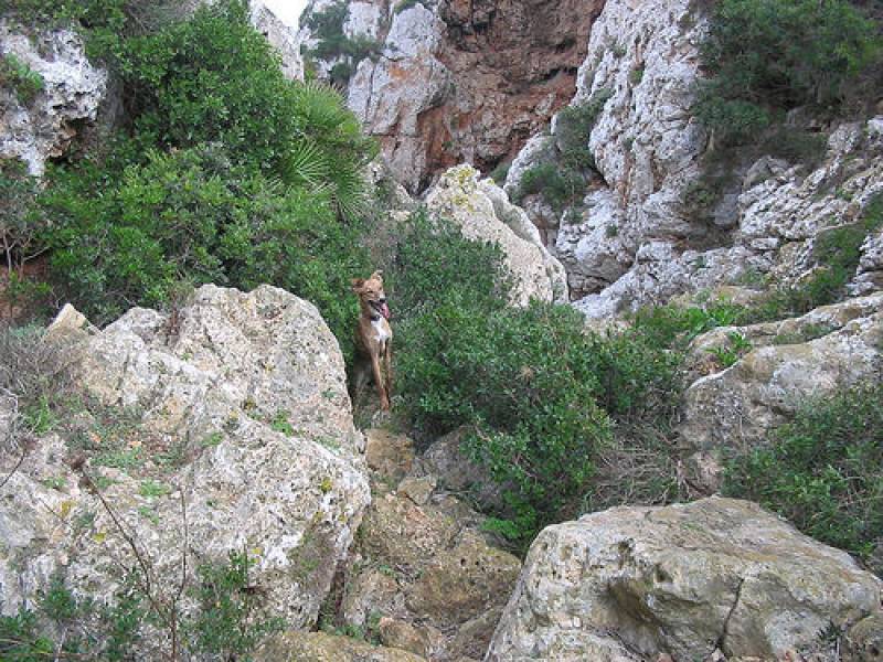 Cova Negra de Xàtiva