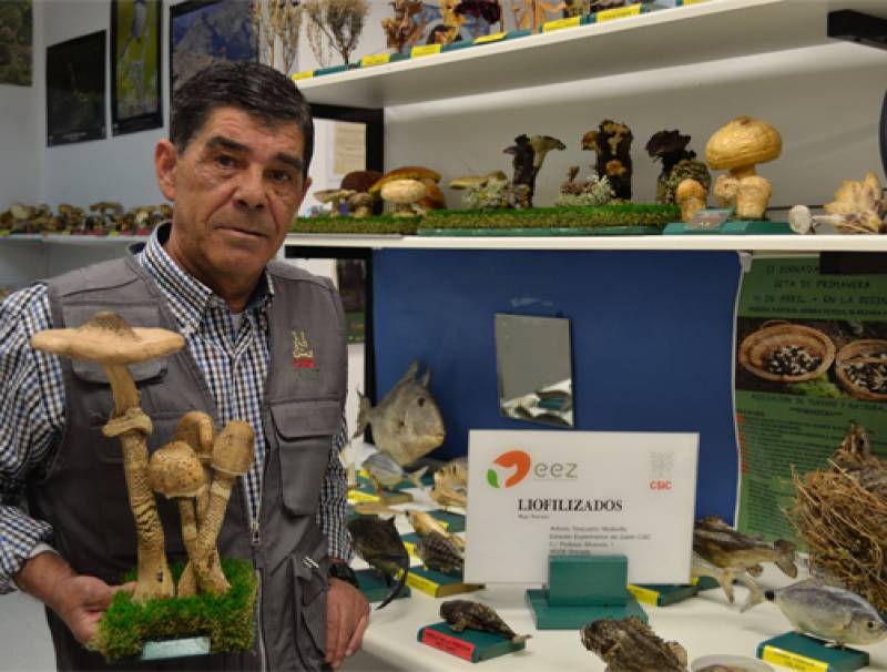 Antonio Trescastro