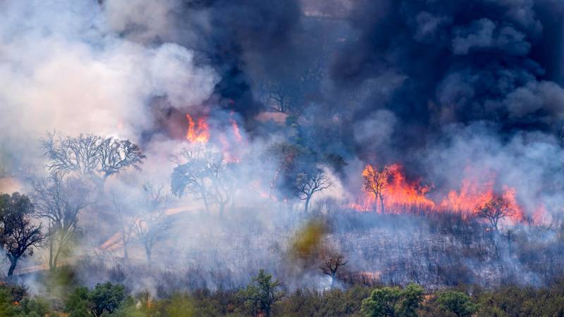 incendio monfragüe