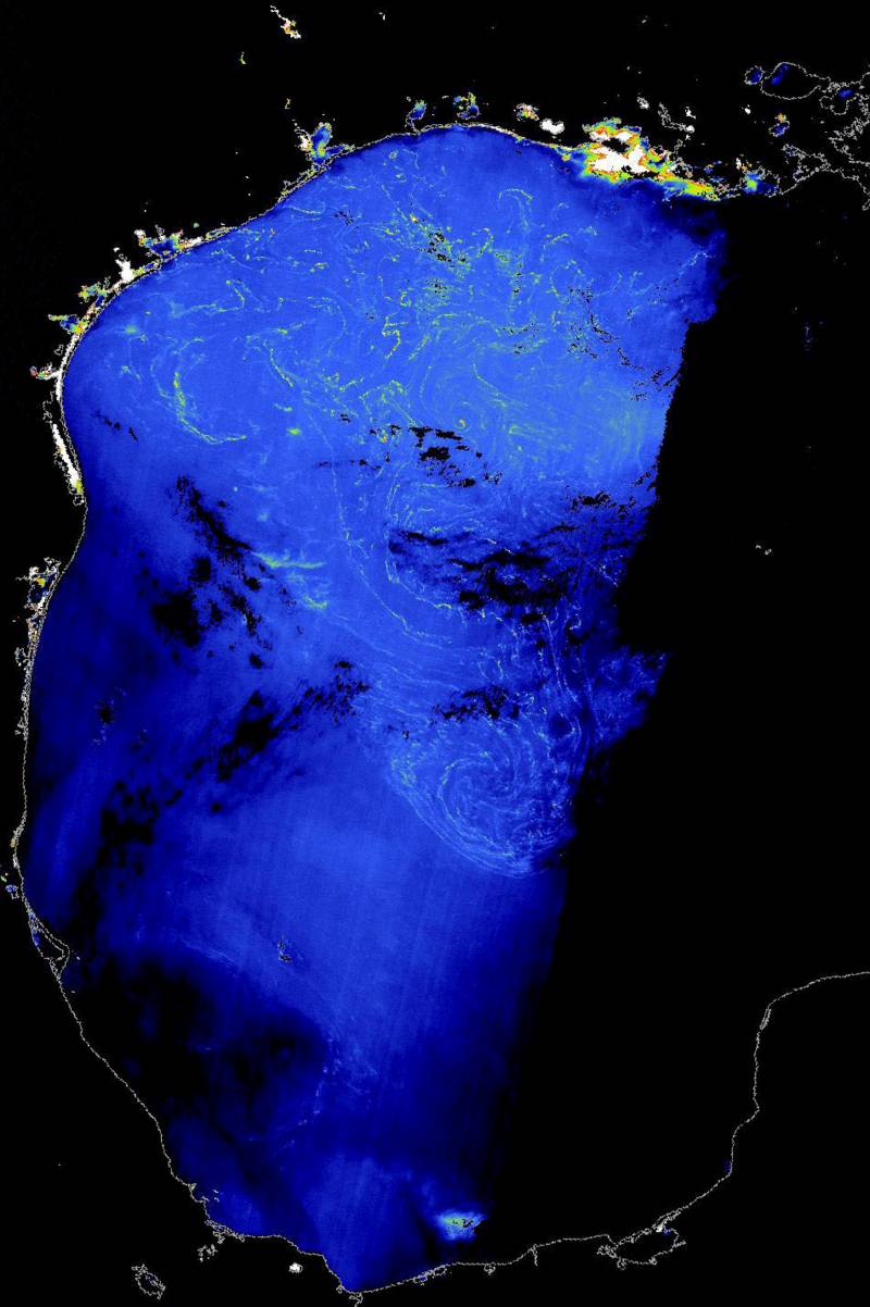 Se detectan concentraciones de algas marinas en el Golfo de México