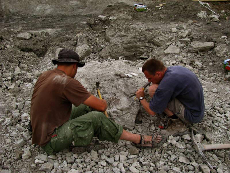 Excavaciones en la localidad del Triásico Superior en Lisowice, Polonia. / Krystian Balanda