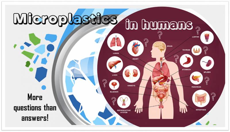 La identificación, cuantificación y caracterización de microplásticos en tejidos u órganos humanos sigue siendo muy limitada. / Guilherme Malafaia et al.