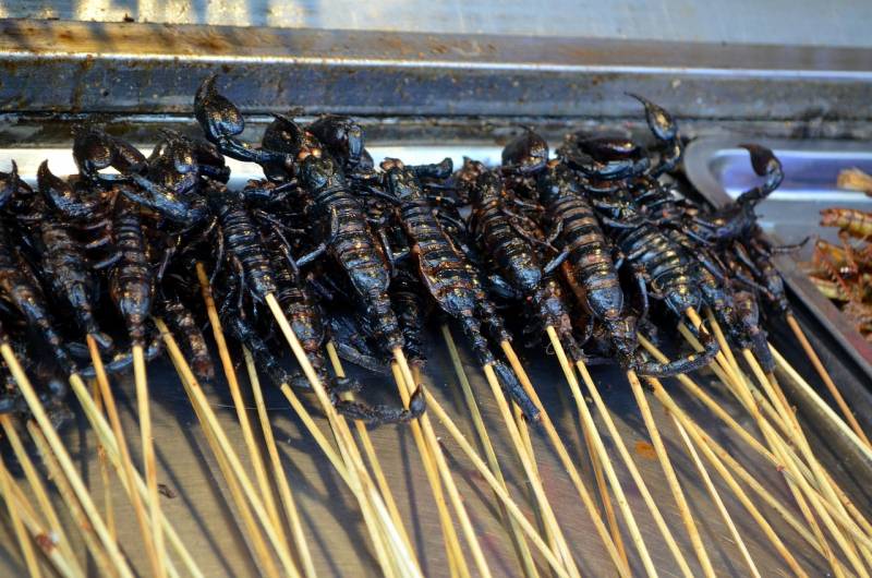 En México la tradición entomofagia tiene mucho arraigo, ofreciendo platos a base de chinches, hormigas, avispas y termitas. / Pixabay
