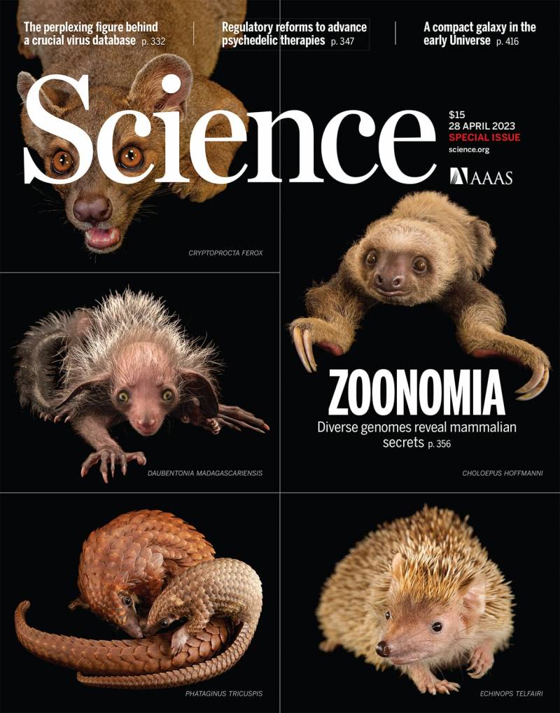 Portada de la revista 'Science'