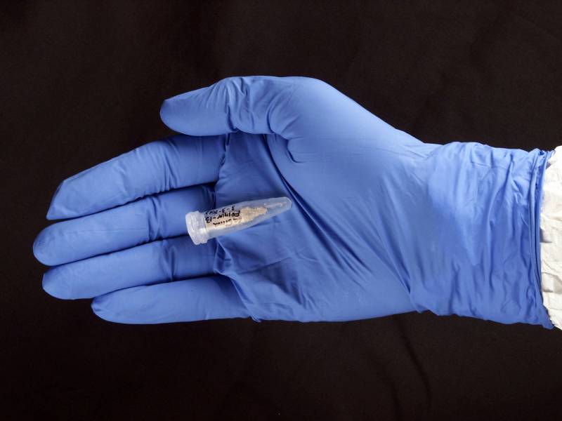 En la imagen, una de las muestras de ADN analizadas. / Madrid Scientific Films