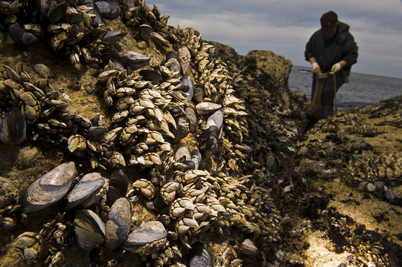 27 historias sobre el impacto del cambio climático