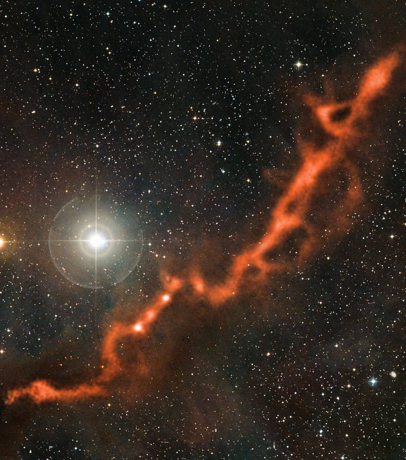 El sinuoso filamento de la Nube Molecular de Tauro con la brillante estrella φ Tauri. Imagen: ESO/APEX/A. Hacar et al.