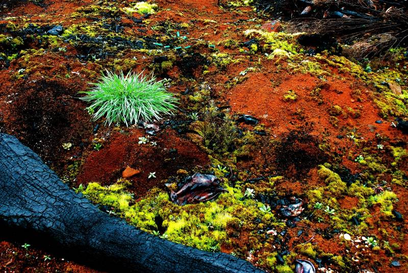 El fondo del mar rebosa de vida microbiana