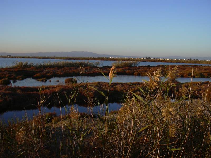 La zona costera del delta del Ebro puede hundirse 50cm