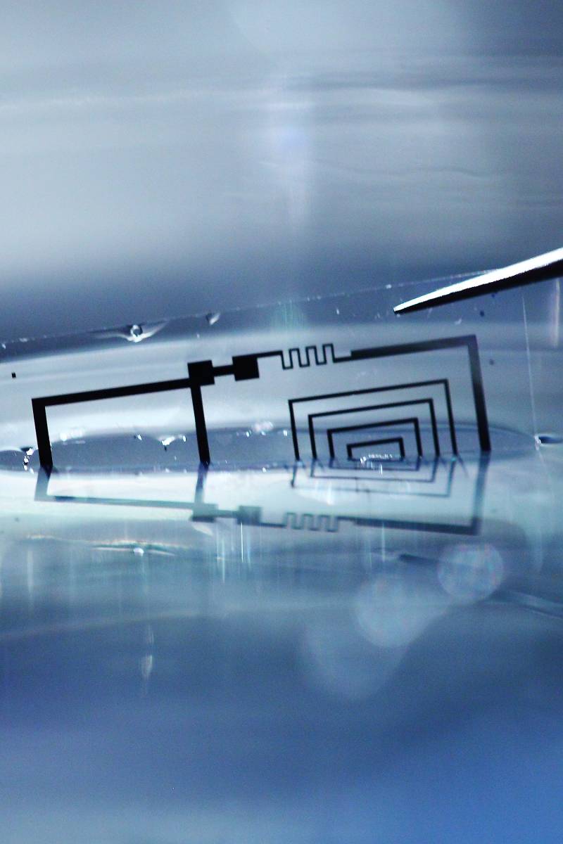 El dispositivo se ha elaborado utilizando capullos de seda, hojas delgadas de silicio poroso y electrodos de magnesio. Imagen: Beckman Institute, University of Illinois and Tufts University 