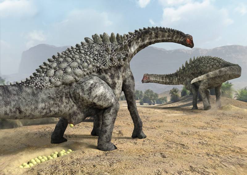 Recreación artística de la puesta de huevos de un ampelosaurus.  / J.A. Peñas | SINC
