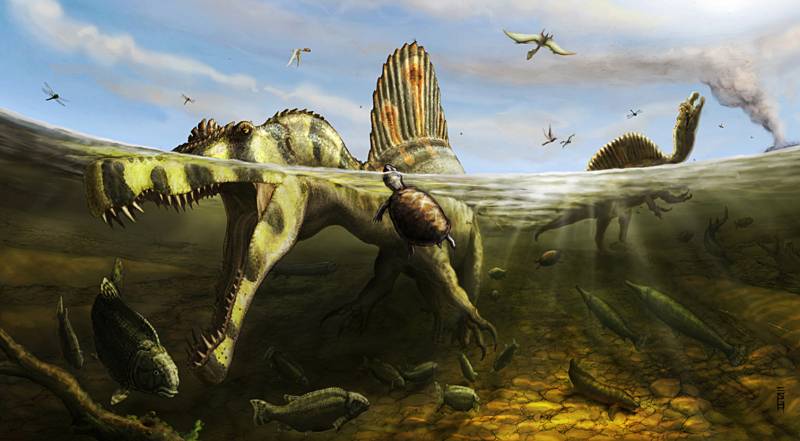 Recreación artística del 'Spinosaurus aegyptiacus'. / Brian Engh