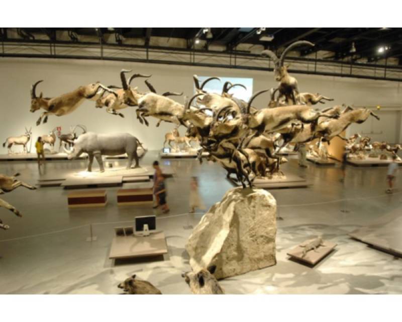 panoramica museo
