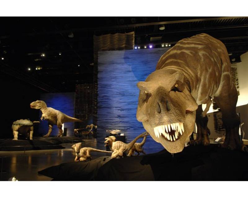 Tyrannosaurus rex