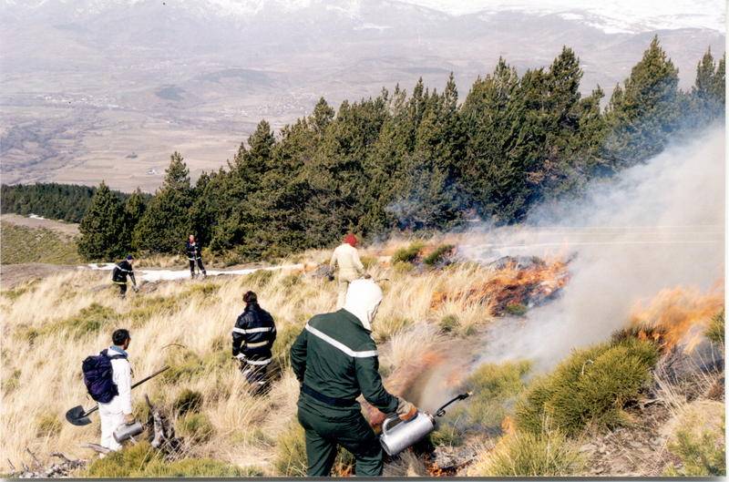 Evalúan el efecto del fuego en las aves