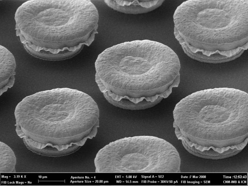 Cada una de las estructuras mide apenas 20-25 micrómetros, menos que el diámetro de un cabello humano