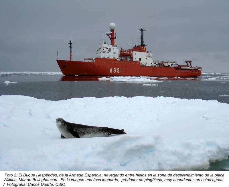 Investigadores españoles presencian la fragmentación y desprendimiento de la placa de hielo Wilkins en la Antártida