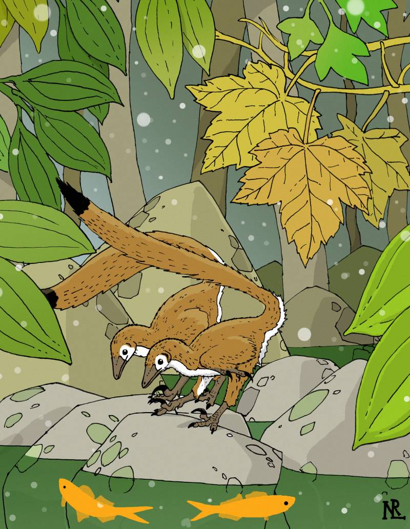Descubren la especie más pequeña de dinosaurios que habitó en América del Norte