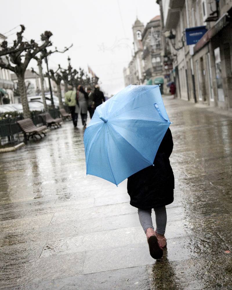 La prevalencia de la dermatitis es mayor en ciudades húmedas y con altas precipitaciones 