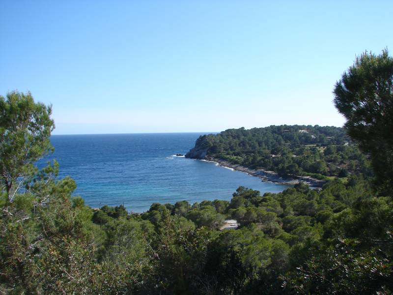 La buena voluntad y el compromiso de los políticos, claves para el futuro de los bosques mediterráneos
