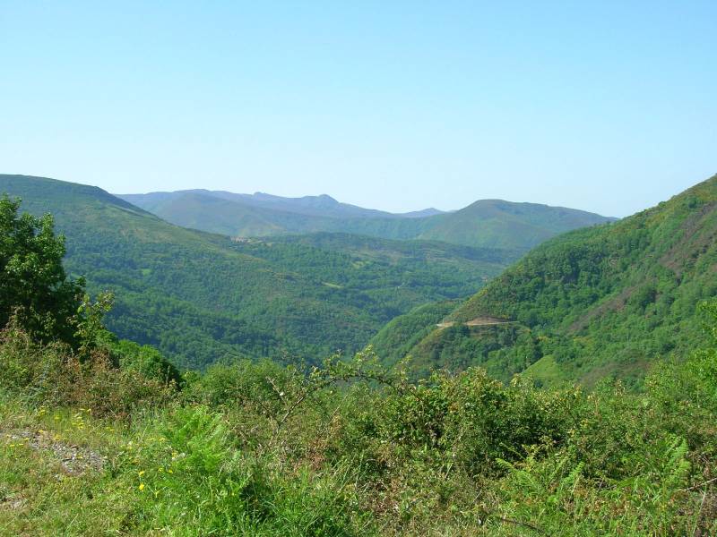 La UE propone reorganizar de forma radical las políticas sobre la protección de la biodiversidad 