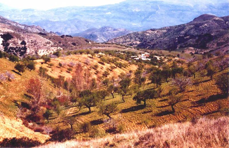 Paisajes turísticos, ¿una salida a la crisis?