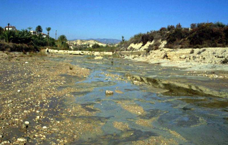 Descubren más de 200 especies vegetales en los arroyos semiáridos del sureste español