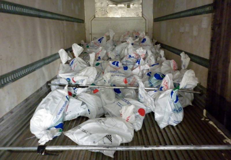  Interior del camión cargado con bolsas llenas de bloques de hielo sustraído del glaciar.