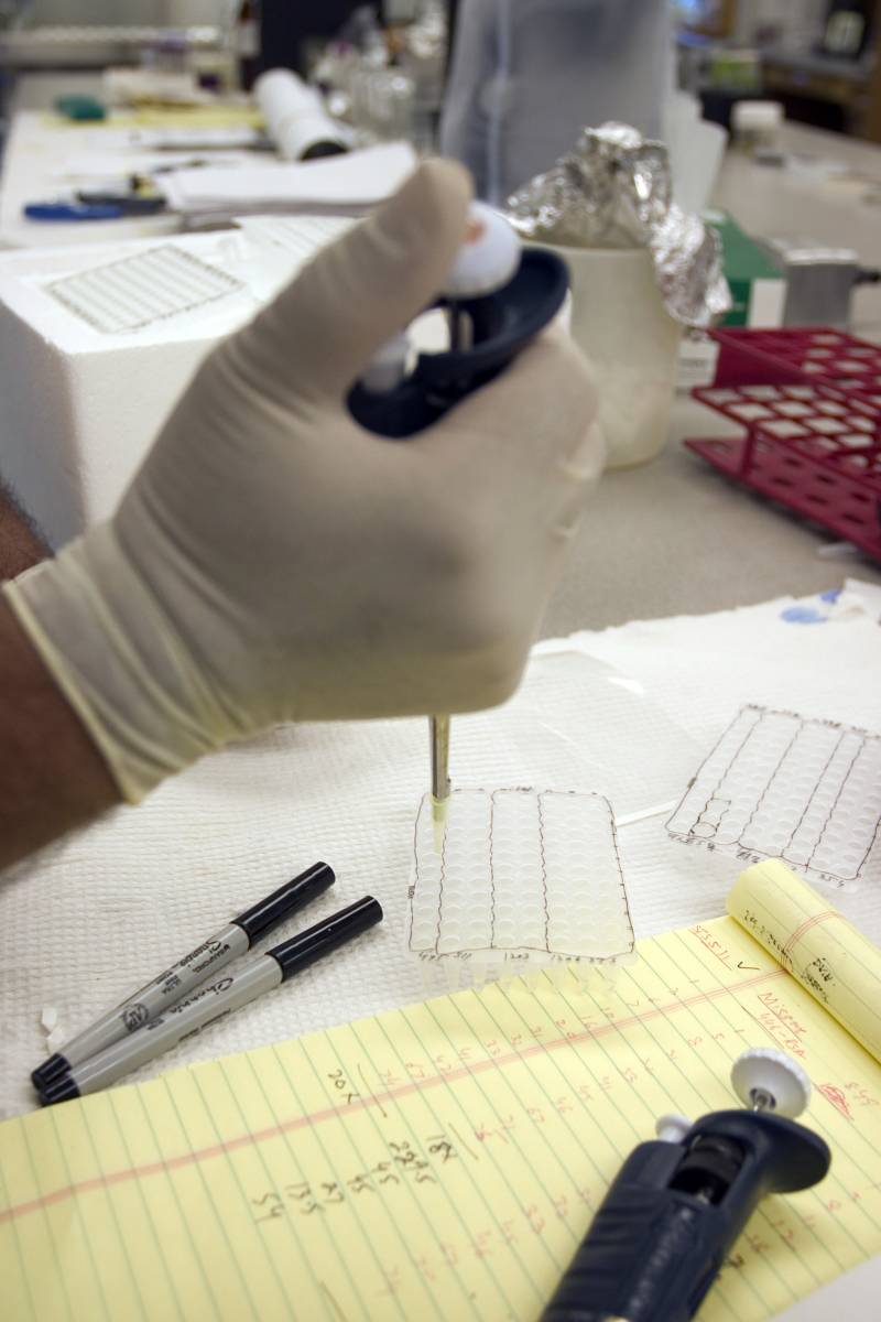 Laboratorio