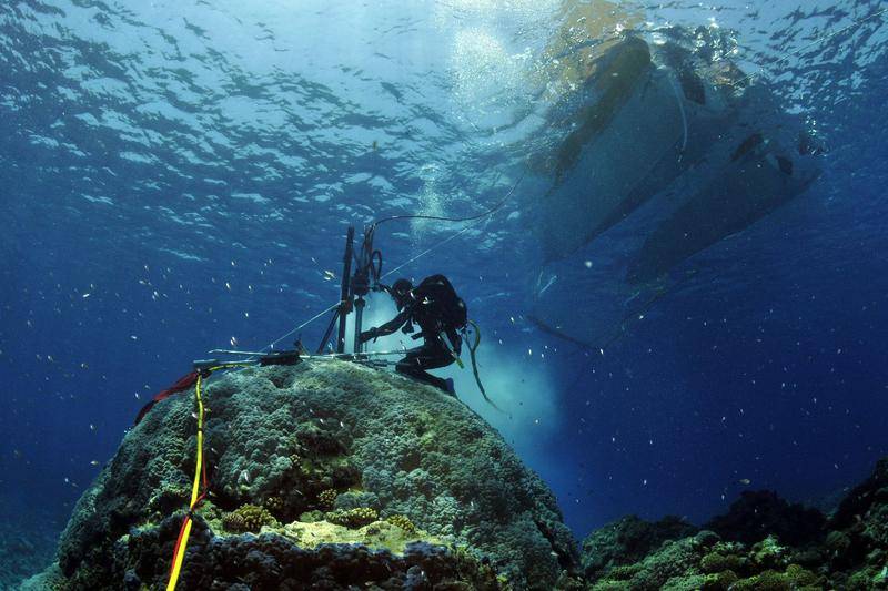 Trabajo de campo en corales del Océano Índico para recoger información sobre el clima del pasado./ Eric Matson, Australian Institute of Marine Science. 