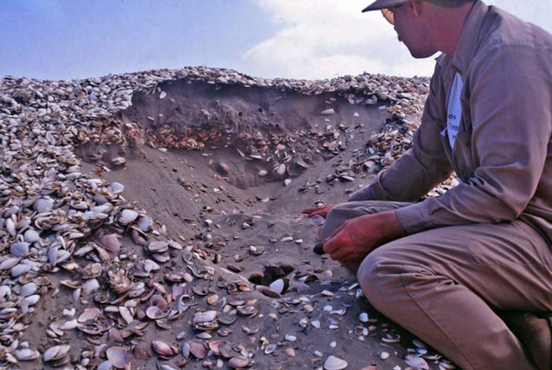Recogida de muestras en las crestas de playa de la llanura costera de Chira (Perú) / PNAS.