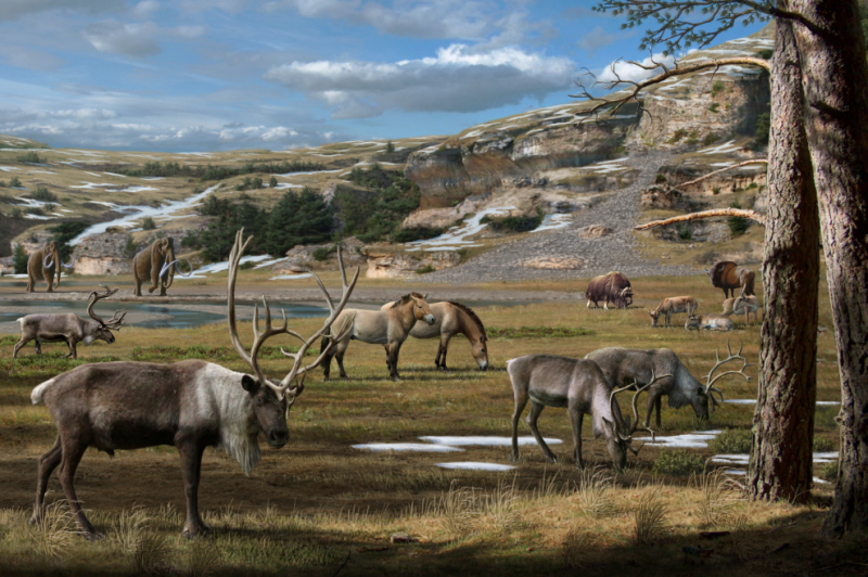 Los humanos y el cambio climático, corresponsables de la extinción de grandes mamíferos 