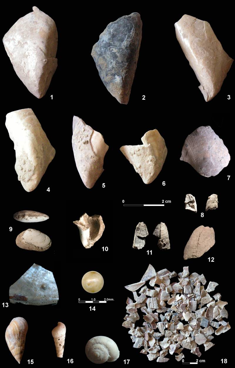 Los neandertales ibéricos comían marisco hace 150.000 años