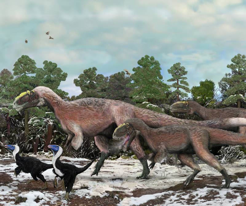 Reproducción de un ejemplar de Yutyrannus huali, el mayor dinosaurio con pluma. Imagen: Nature  