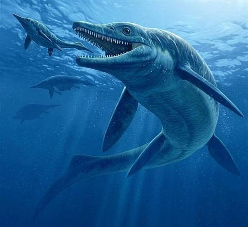 Reconstrucción artística del Thalattoarchon saurophagis. Imagen: Raul Martin | National Geographic. 