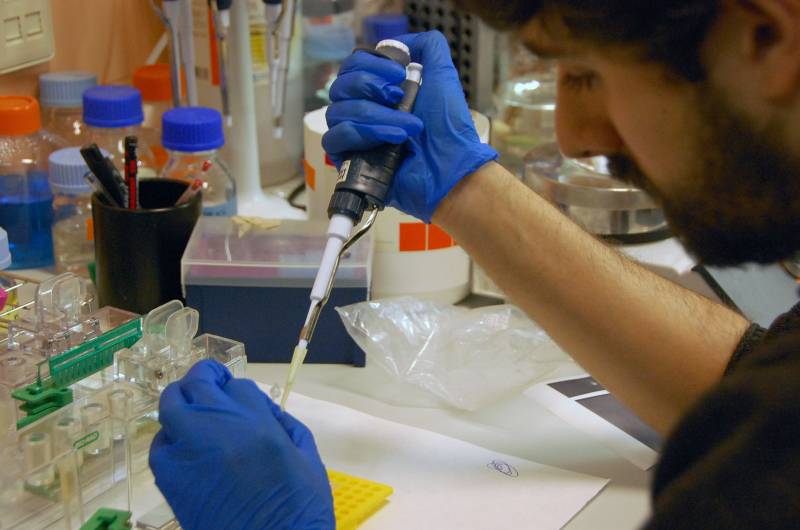 Un científico trabaja en un laboratorio. Imagen: SINC