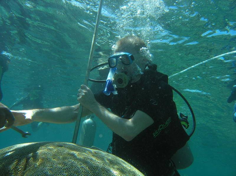 Un investigador toma muestras de un coral. 