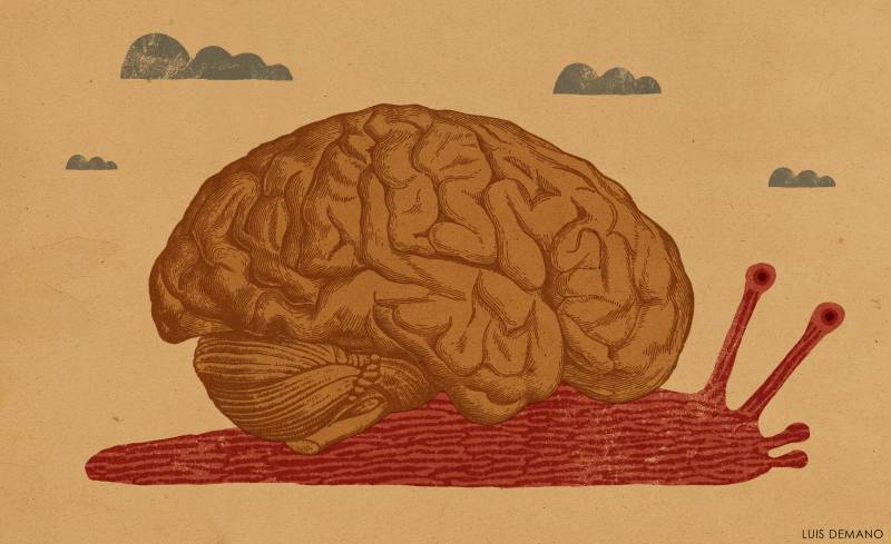 La memoria se vuelve menos eficaz en las fases tempranas del Alzheimer
