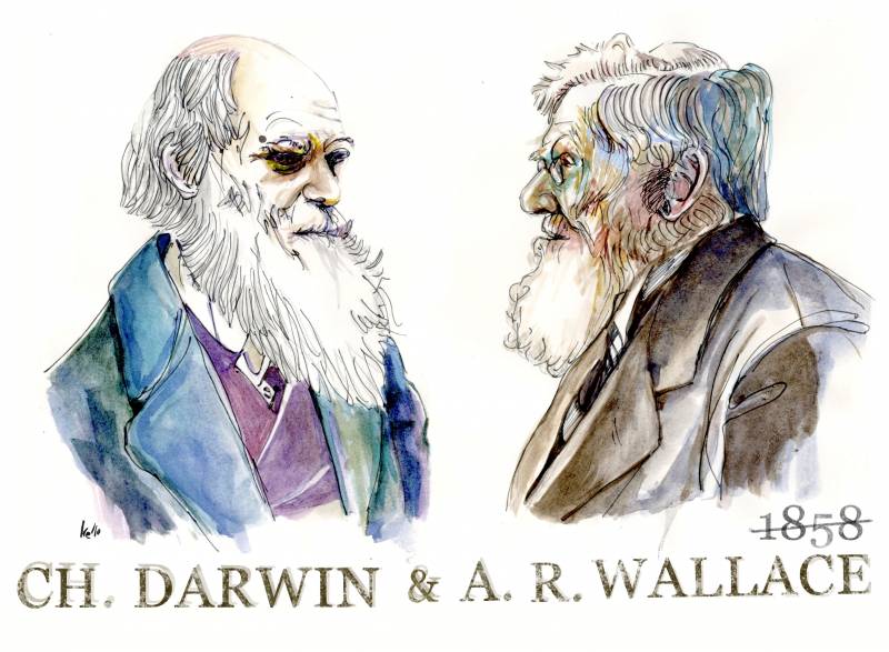 El 1 de julio de 1858 Darwin y Wallace presentan su teoría de la evolución